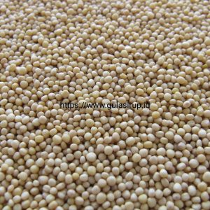 isolate soy protein | gulasirup.id
