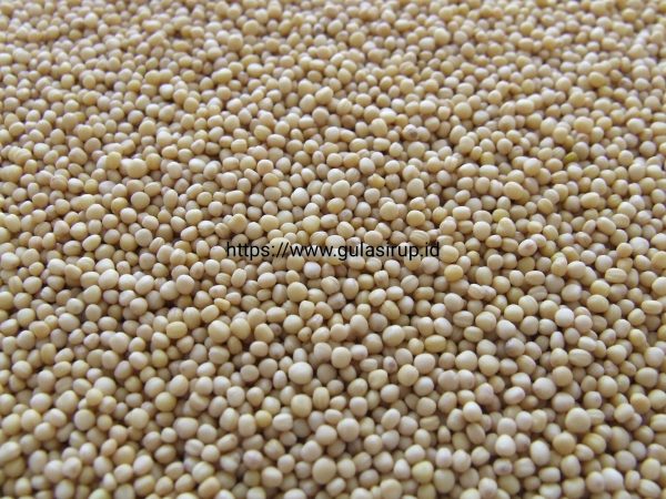 isolate soy protein | gulasirup.id